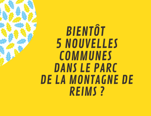 Un nouveau périmètre pour le Parc de la Montagne de Reims ?